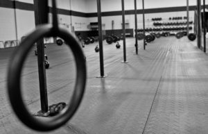 auckland weights gym equipment